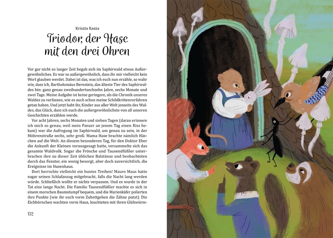 Märchenland für alle: Inklusiv und divers erzählte Märchen für Kinder ab 6 Jahren